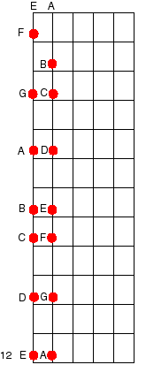 fretboard